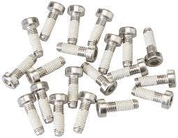 Amsler JUICY SPLIT CLAMP BOLT STAINLESS QTY 20