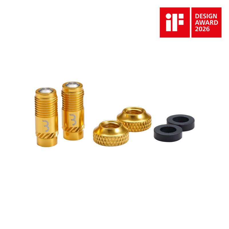 Amsler Presta CoreCap gold, 2 Stück