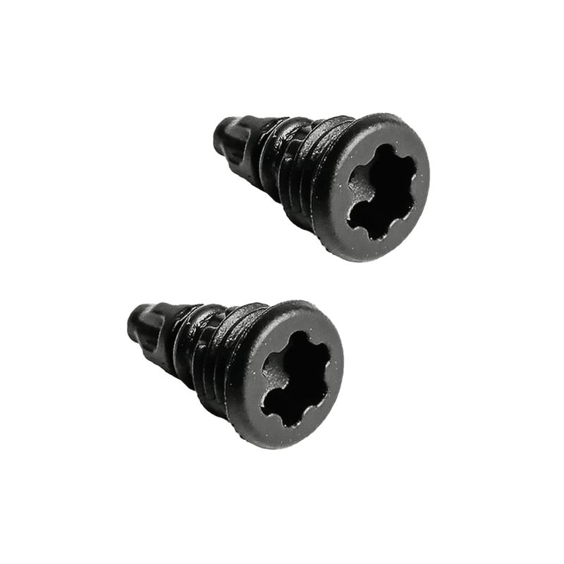 Amsler EBT-Schraube mit O-Ring, T25, 2 Stk.