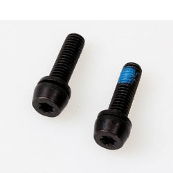 Amsler Vis fixation M6x21,5 pour BOLTRON