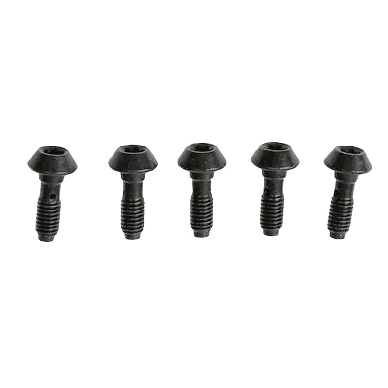 Amsler Hohlschraube f. alle MT-Bremssättel mit