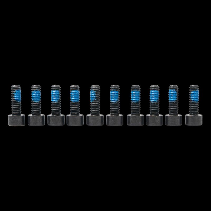 Amsler Vis PM (acier), M6x17  (UE = 10 pcs)