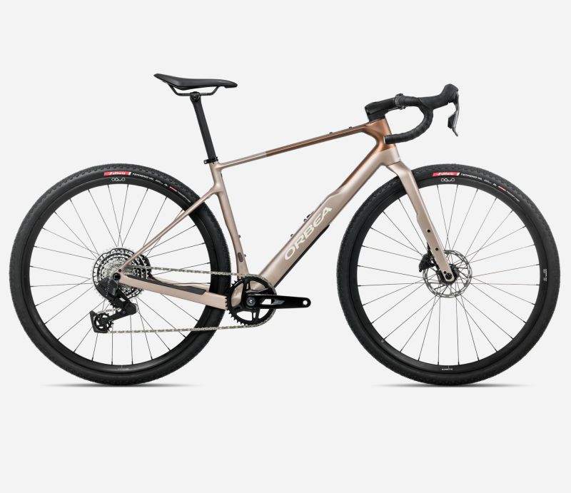 Amsler TERRA M31eTEAM 1X S Nickel - Met Cinnamo