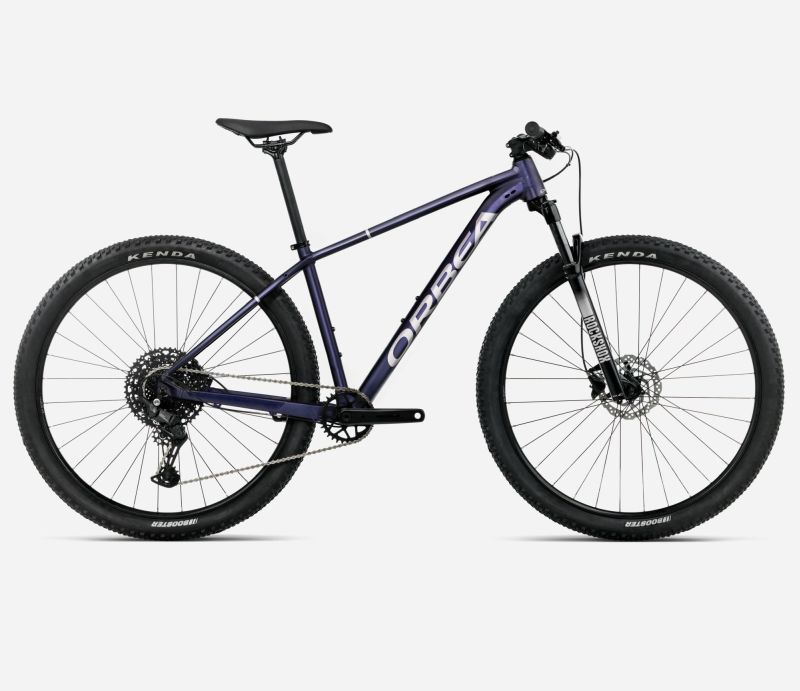Amsler ONNA 29 20 M Tanzanite (Matt) - Silver (